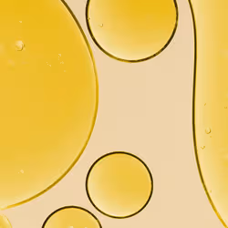 Melvita Huile de Jojoba Bio 50 ml - Vue supplémentaire 2