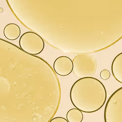 Melvita Huile d'Amande Douce Bio 50 ml - Vue supplémentaire 2