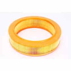 Filtre à air PURFLUX A575