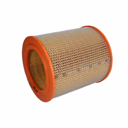 Filtre à air PURFLUX A818