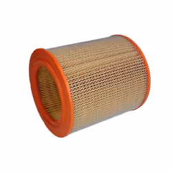 Filtre à air PURFLUX A818