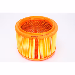 Filtre à air PURFLUX A1034