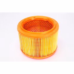 Filtre à air PURFLUX A1034