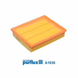 Filtre à air PURFLUX A1036