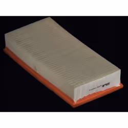 Filtre à air PURFLUX A1342