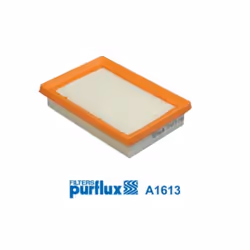 Filtre à air PURFLUX A1613