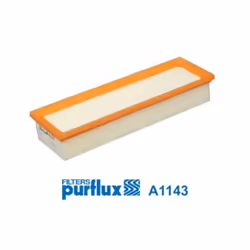 Filtre à air PURFLUX A1143