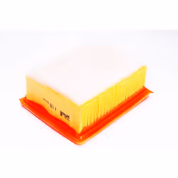 Filtre à air PURFLUX A1159