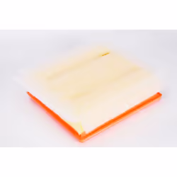 Filtre à air PURFLUX A1239
