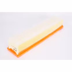 Filtre à air PURFLUX A1229