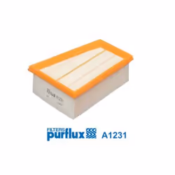 Filtre à air PURFLUX A1231