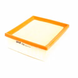 Filtre à air PURFLUX A1234