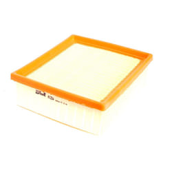 Filtre à air PURFLUX A1234