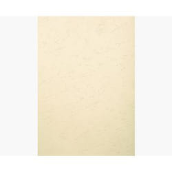 Exacompta 2780C protecteur de feuilles 210 x 297 mm (A4)