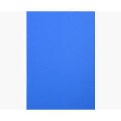 Exacompta 2781C protecteur de feuilles 210 x 297 mm (A4)