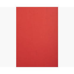 Exacompta 2782C protecteur de feuilles 210 x 297 mm (A4)