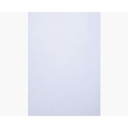 Exacompta 2784C protecteur de feuilles 210 x 297 mm (A4)