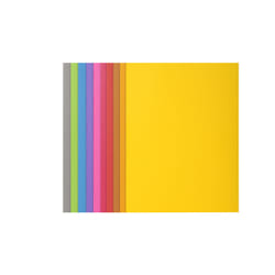 Exacompta 217001E fichier Carton Multicolore A4