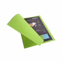Exacompta 217113E fichier Carton Vert A4