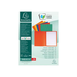 Exacompta 220000E fichier Papier Multicolore A4