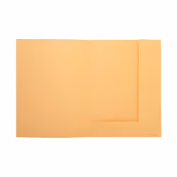 Exacompta 335002E fichier Carton A4