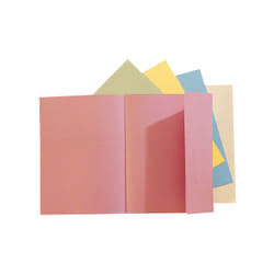 Exacompta 348000E fichier Multicolore A4