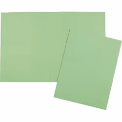 5Star 914670, A4, Carton, Vert, Portrait, 250 g/m², 240 mm