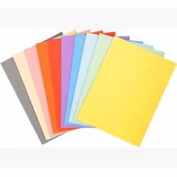 Exacompta 420000E, Porte-documents, A4, Carton, Multicolore, 170 g/m², 240 mm