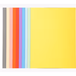 Exacompta 420000E fichier Carton Multicolore A4