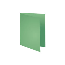 Exacompta 421004E fichier Vert A4