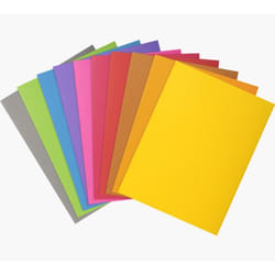 Exacompta 800001E fichier Carton Multicolore A4