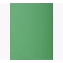 Exacompta 800004E, Porte-documents, A4, Carton, Vert, 80 g/m², 220 mm
