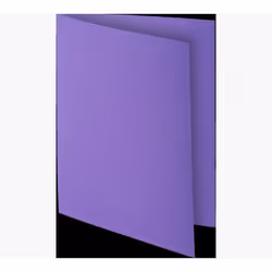 Exacompta 800008E fichier Carton Violet A4