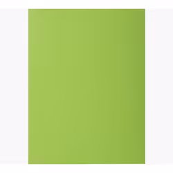 Exacompta 800013E, Porte-documents, A4, Carton, Vert, 80 g/m², 220 mm
