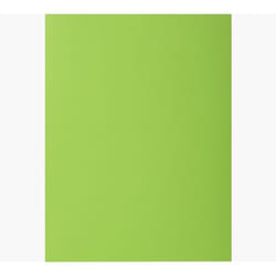 Exacompta 800013E fichier Carton Vert A4