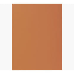 Exacompta 800014E fichier Carton A4