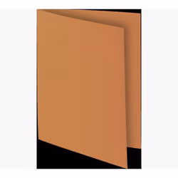 Exacompta 800014E fichier Carton A4