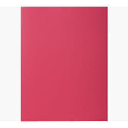 Exacompta 800016E fichier Carton A4