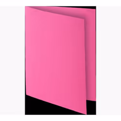 Exacompta 800020E fichier Carton Rose A4