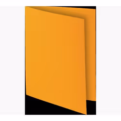 Exacompta 800026E fichier Carton A6