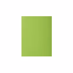 Exacompta 807013E, Porte-documents, A4, Carton, Vert, 80 g/m², 220 mm
