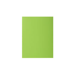 Exacompta 807013E fichier Carton Vert A4