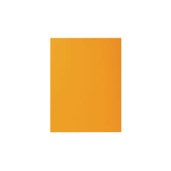 Exacompta 807026E fichier Carton A4