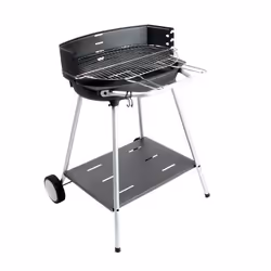 Barbecue À Charbon Avec Plateforme De Rangement