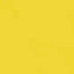 Rainex Standard 250 100 Chemises 24 x 32 cm Canari