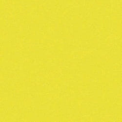 Rainex Standard 250 100 Chemises 24 x 32 cm Canari