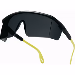 Les lunettes Delta Plus polycarbonate monobloc KILIMANDJARO Smoke sont conçues pour offrir une protection optimale lors de vo ...