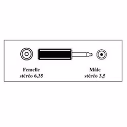 T'nB ADA3 changeur de genre de câble 3.5mm 6,35 mm Noir