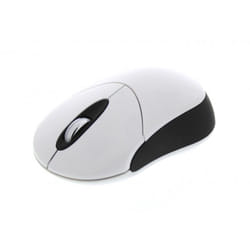 T'nB SRSCBK souris