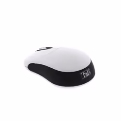 T'nB SRSCBK souris